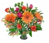 Chrysal cut flower food